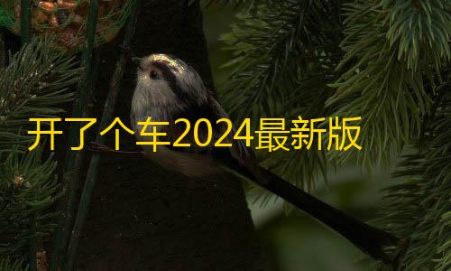 三角洲行动透视挂开了个车2024最新版